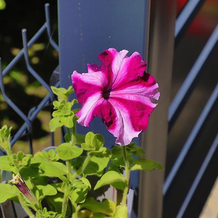 Apartman Ozimice 2 Bihac Luaran gambar
